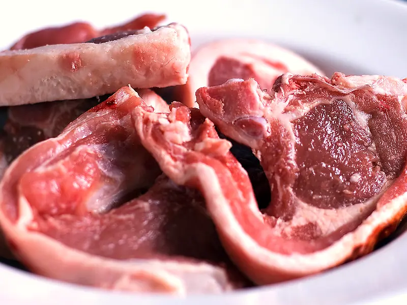 Lamb